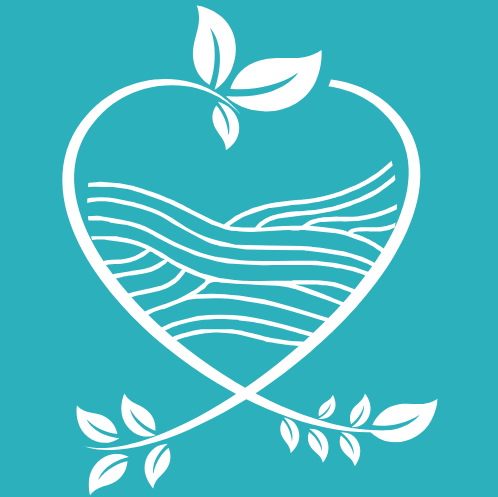 best aromatherapy oils